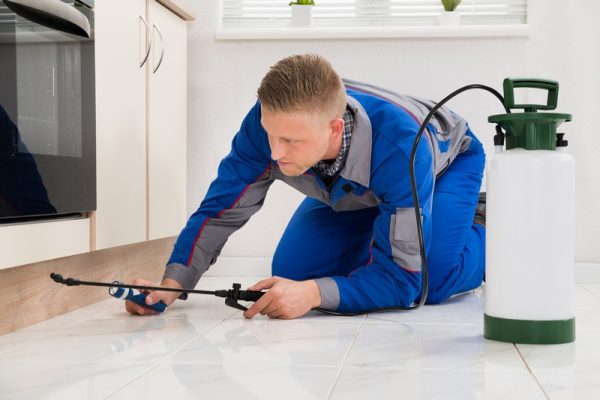 Roach problem in Lockhart? A look at professional pest control! Lockhart Pest Control