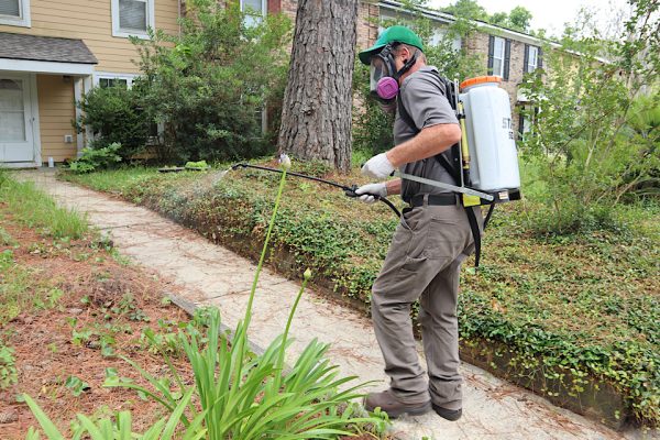 The Importance of Year-Round Preparedness Against Pests in Centennial, Colorado Preparedness Against Pests in Centennial