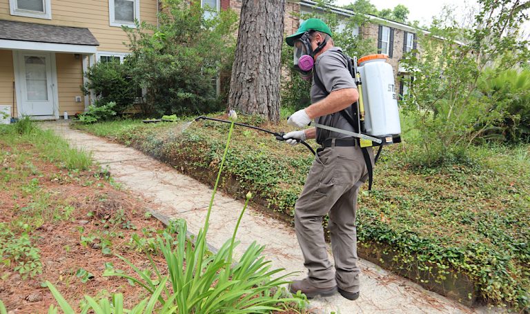 Preparedness Against Pests in Centennial