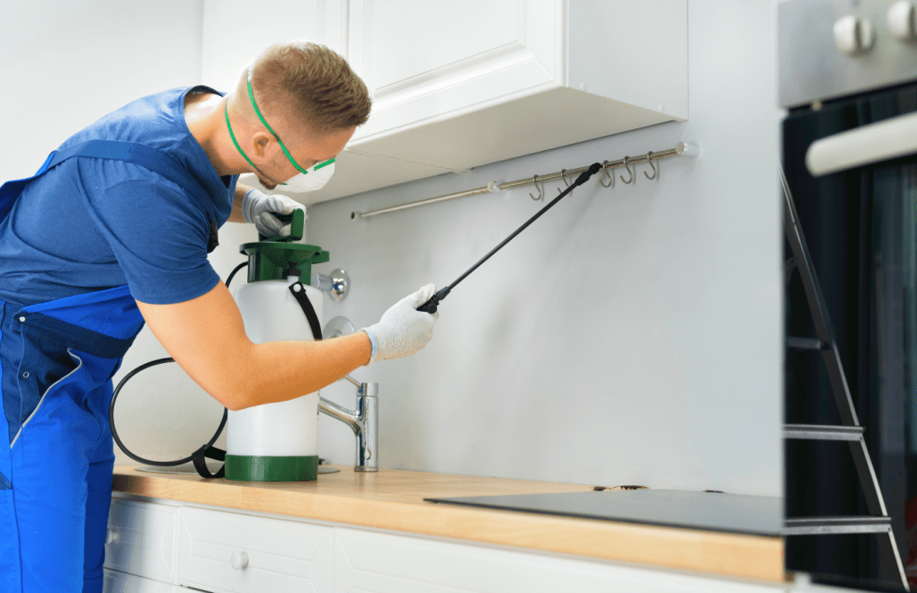 Are Your Garden Plants Drawing Pests to Your Altamonte Springs Home? Avata Pest Control