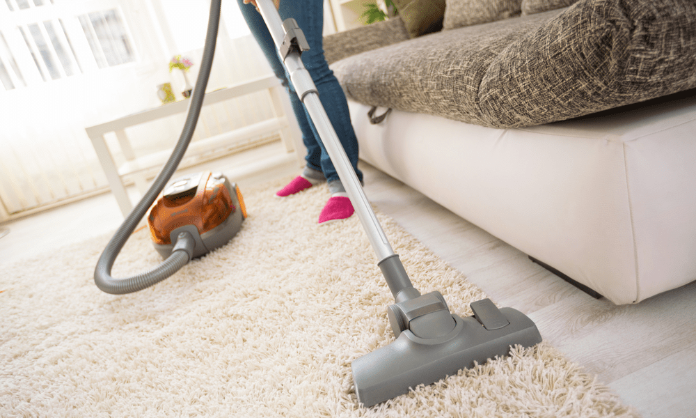 carpet cleaning professionals