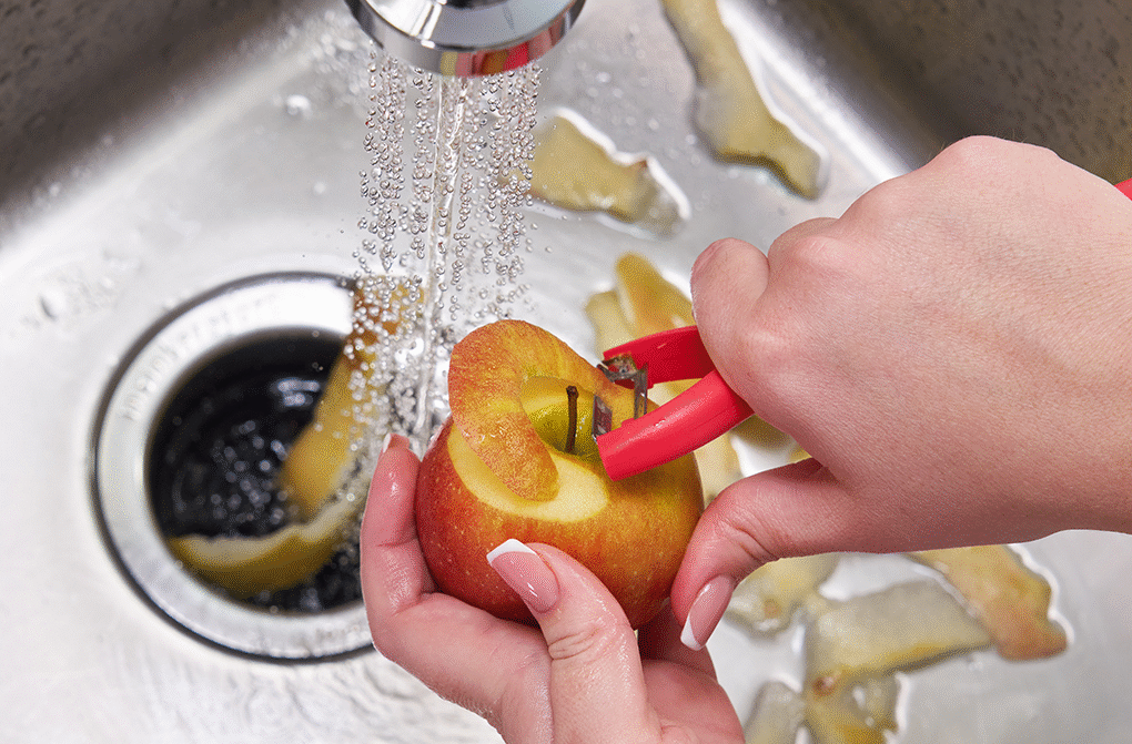 How to Keep Your Garbage Disposal Clean Garbage Disposal Clean