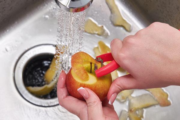 How to Keep Your Garbage Disposal Clean Garbage Disposal Clean